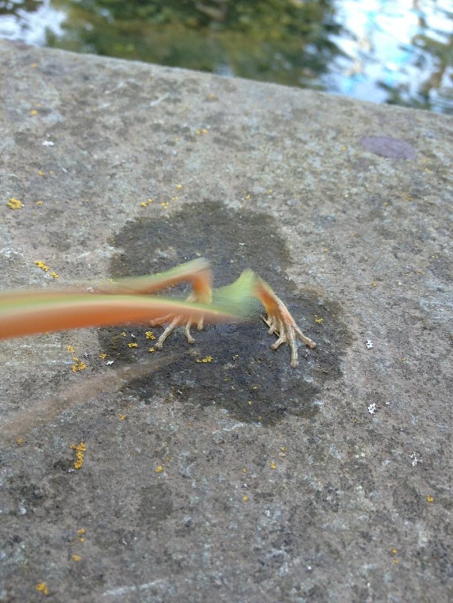 Illustration de l'article : 32 photographes qui ont su appuyer au bon moment