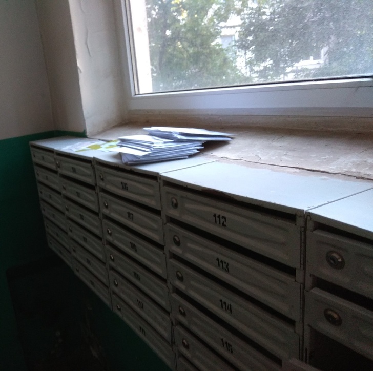 Illustration de l'article : Ces 14 images de la paresse en action