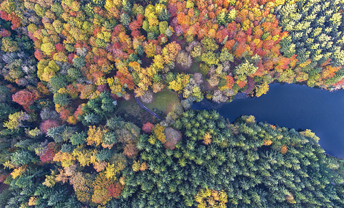 Illustration de l'article : 29 clichés réalisés par des génies de la photographie