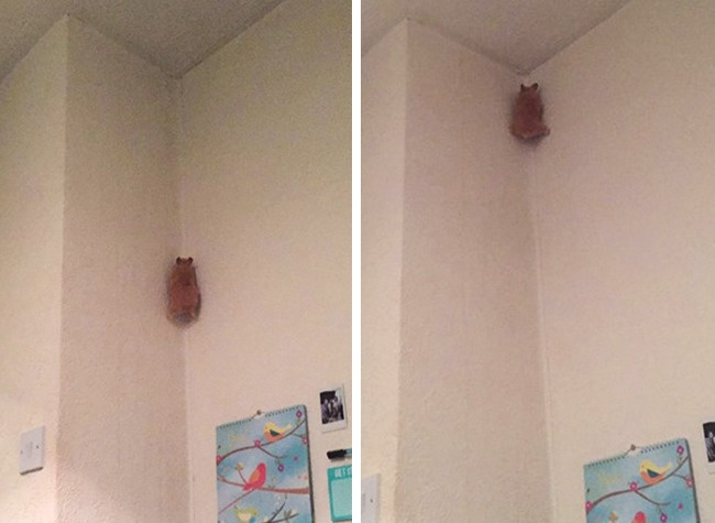 Illustration de l'article : 23 photos qui vont bousculer toutes vos connaissances fondamentales