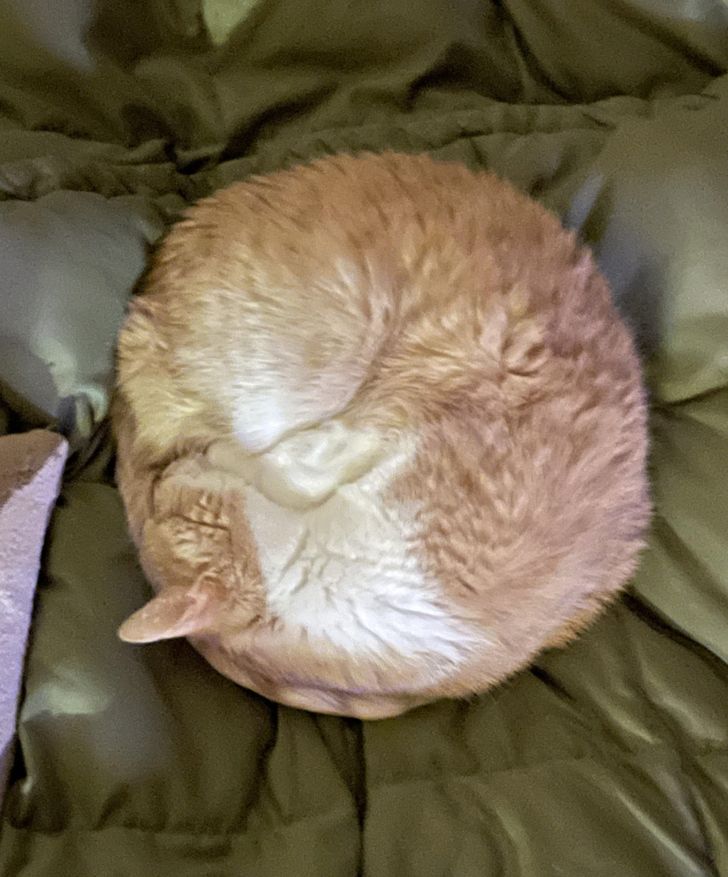 Illustration de l'article : Ces 15 photos qui illustrent bien la perfection