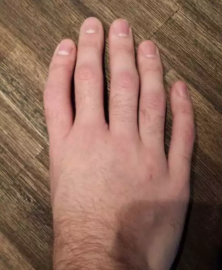 Illustration de l'article : Ces 21 photos qui montrent que l'Homme et la nature sont parfois incompris