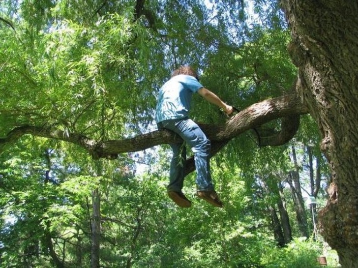 Illustration de l'article : Ces 22 personnes qui ont poussé les choses un peu trop loin