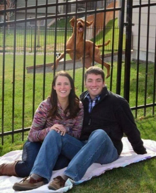 Illustration de l'article : Ces 20 photos où l'arrière-plan était plus intéressant que le premier