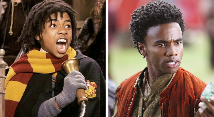 Illustration de l'article : Ces 12 acteurs transformés par la saga Harry Potter