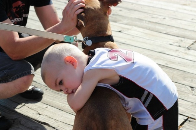 Illustration de l'article : 25 photos motivantes qui redonnent le sourire après une mauvaise journée ! 