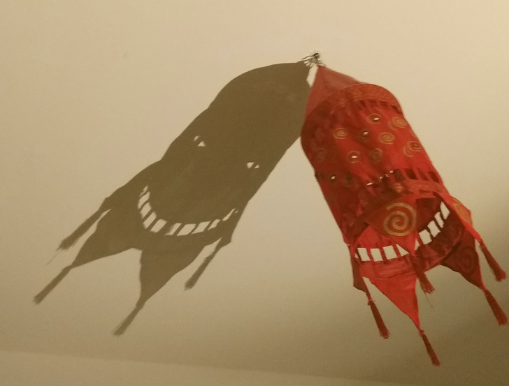 Illustration de l'article : Ces 19 ombres bien différentes de leur corps réel