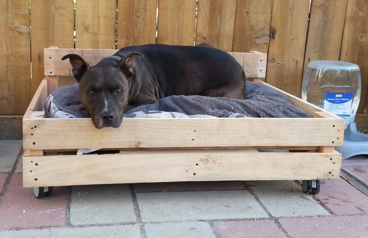 Illustration de l'article : Ces 24 façons de réutiliser de vieilles palettes en bois