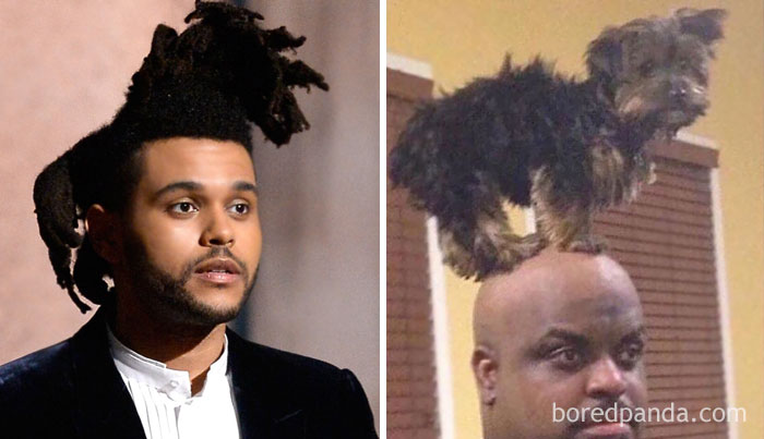 Illustration de l'article : 50 tenues hilarantes et démentes auxquelles vous n'auriez jamais pensé !