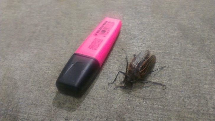 Illustration de l'article : Ces 17 photos qui montrent ce qu'est un mauvais jour