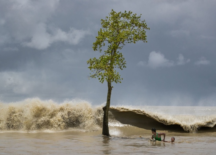 Illustration de l'article : Cette sélection des 19 plus belles photos de 2018