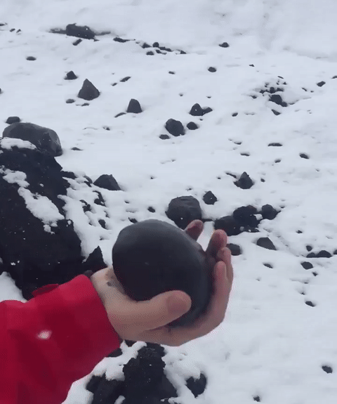 Illustration de l'article : Ces 24 curiosités prises en photos à travers le monde