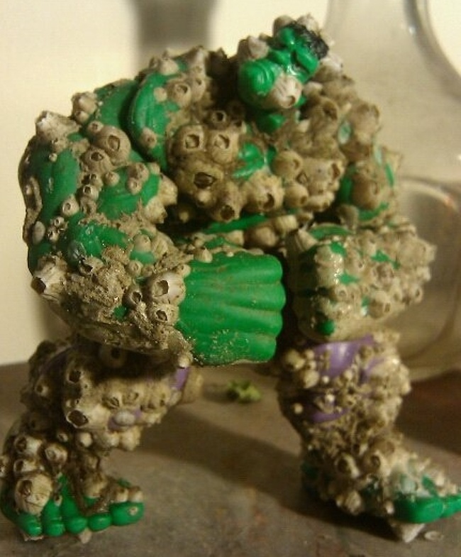 Illustration de l'article : Ces 14 découvertes inattendues sur les plages du monde