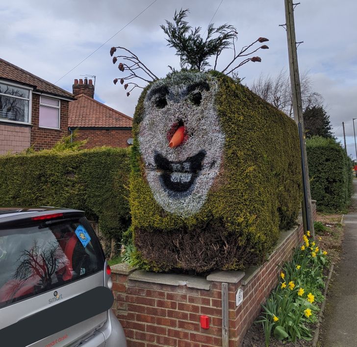 Illustration de l'article : Ces 20 objets et r&eacute;alisations tir&eacute;s par les cheveux