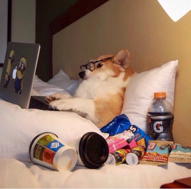 Illustration de l'article : Ces 21 choses bizarres que les humains font tous