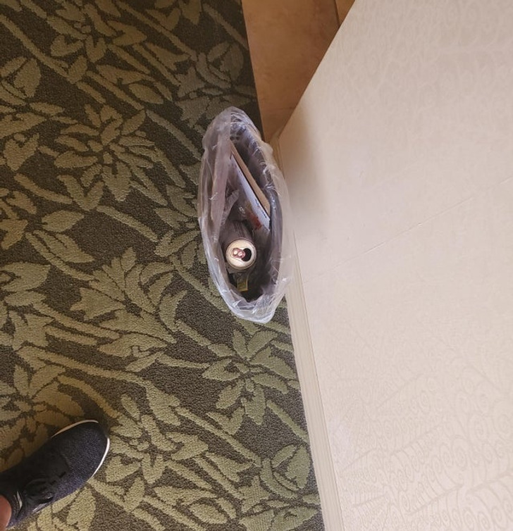 Illustration de l'article : Ces 18 photos illustrant de drôles de surprises dans les chambres d'hôtel