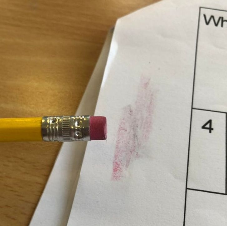 Illustration de l'article : Ces 19 photos qui ont le don de faire hérisser les poils