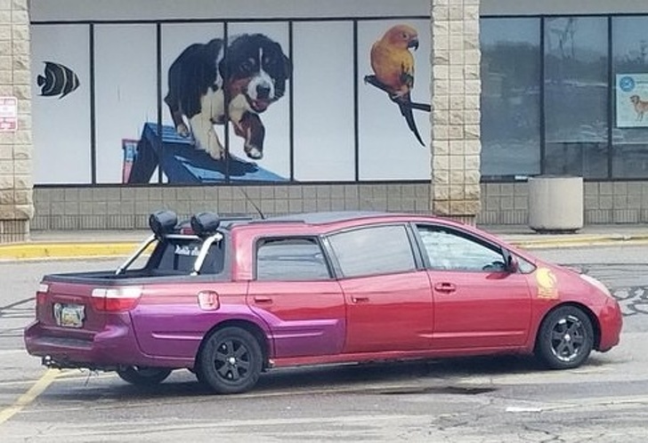 Illustration de l'article : Ces 17 photos qui sont la preuve de la bizarrerie du monde