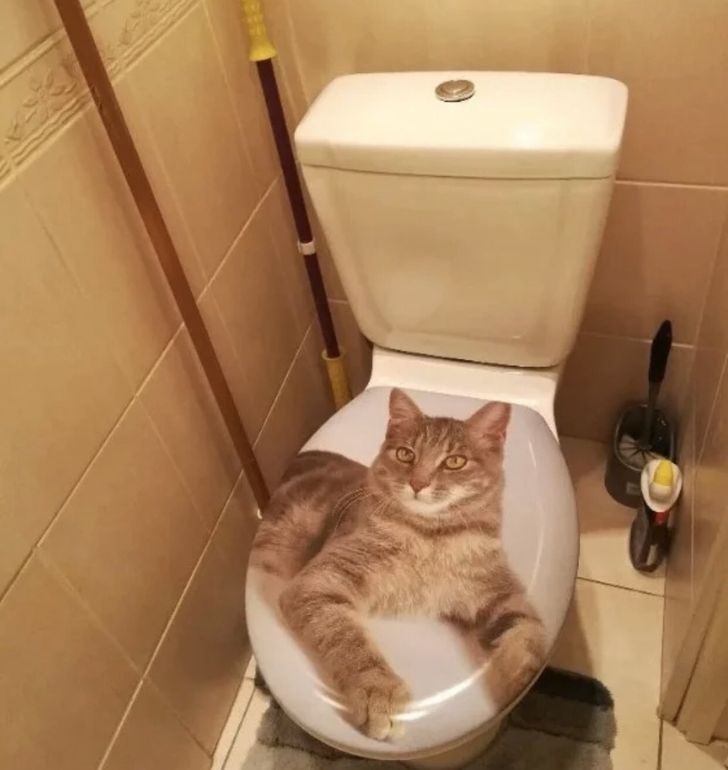 Illustration de l'article : Ces 16 photos qui illustrent les mauvais choix des bricoleurs