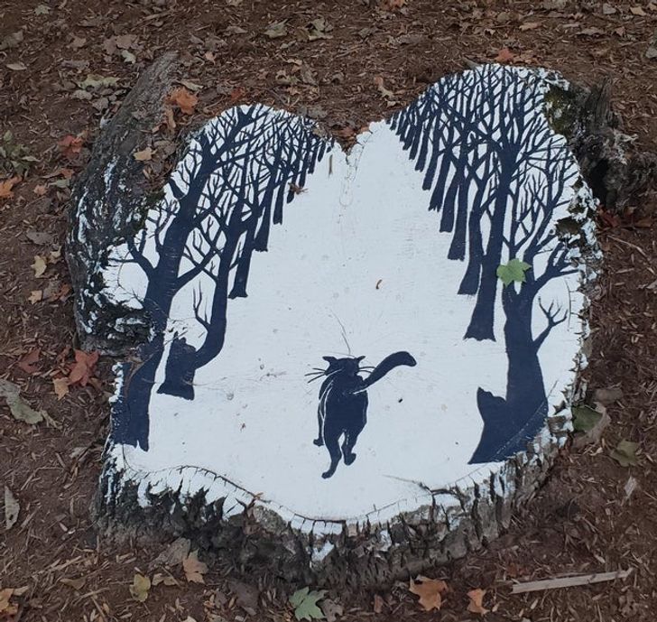 Illustration de l'article : Ces 19 photos de personnes qui ont beaucoup de talent