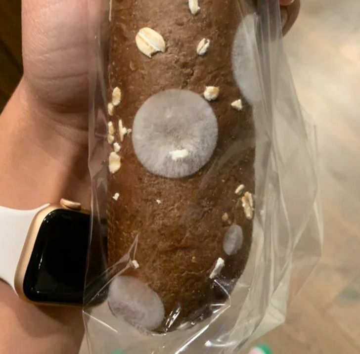 Illustration de l'article : Ces 19 photos qui illustrent les traits d'humour du quotidien