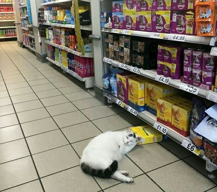 Illustration de l'article : Ces 17 personnes qui vivent leur propre vie et à leur façon