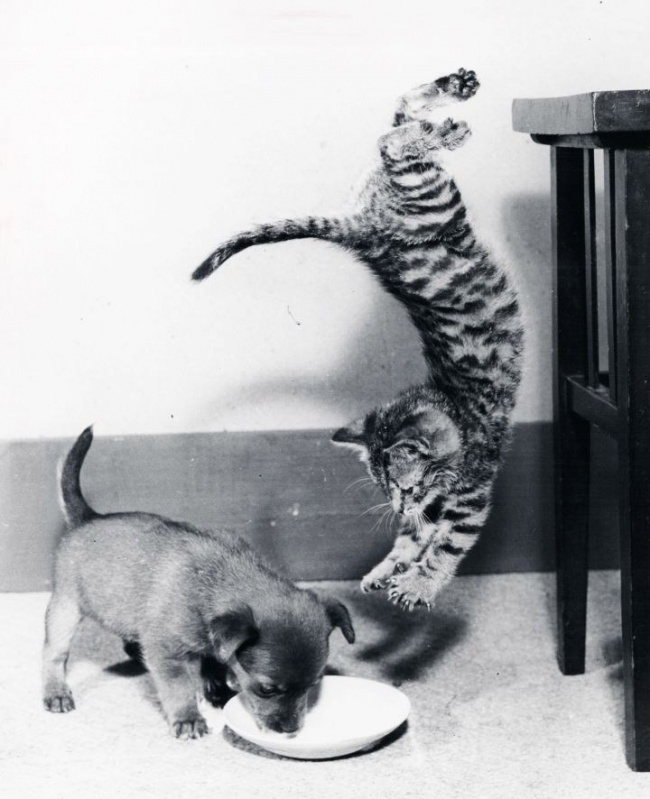 Illustration de l'article : 30 photographies non retouch&eacute;es prises quelques secondes avant une chute in&eacute;vitable