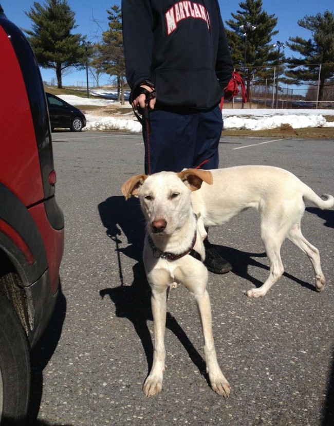 Illustration de l'article : Ces 25 photos trompent la vision grâce à l'angle de vue