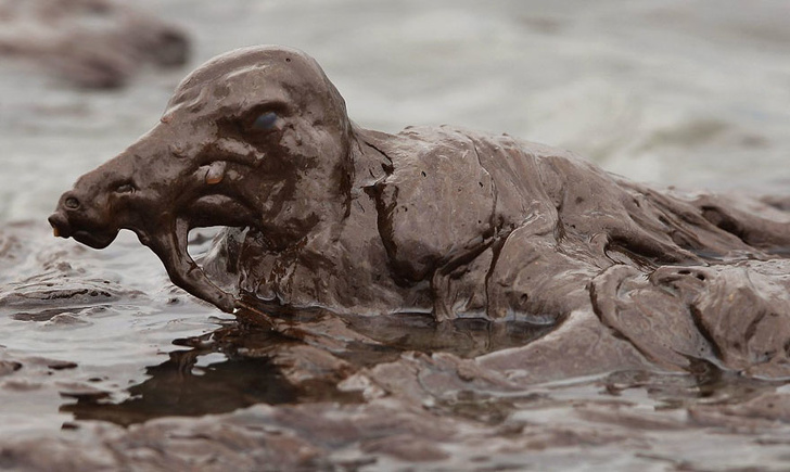 Illustration de l'article : Ces 15 photos qui montrent que l'on doit agir contre la pollution