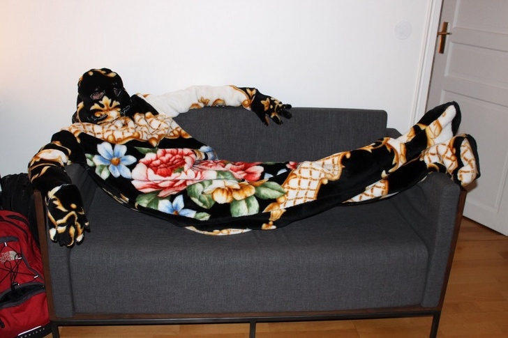 Illustration de l'article : Ces 15 personnes qui vivent leur vie sans se soucier des autres