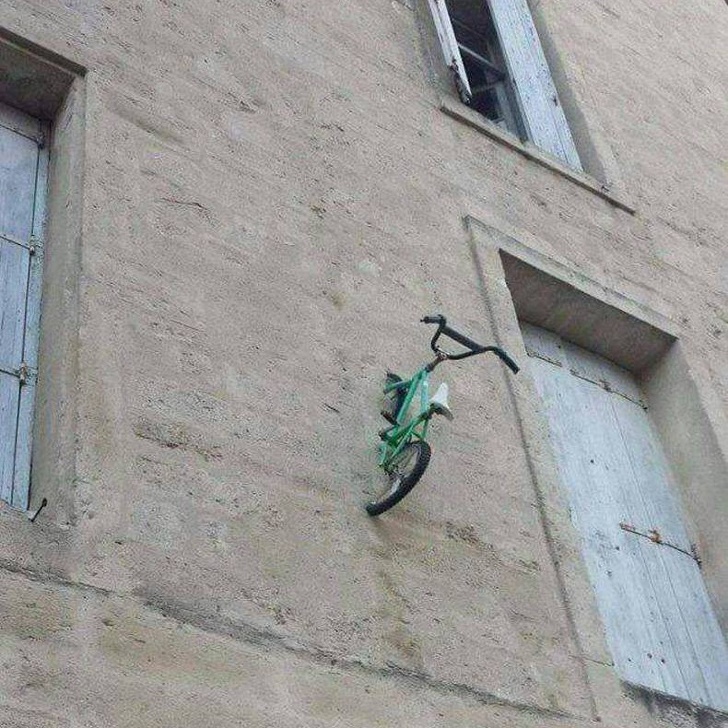 Illustration de l'article : Ces 30 personnes ont eu une soudaine envie de faire quelque chose de bête