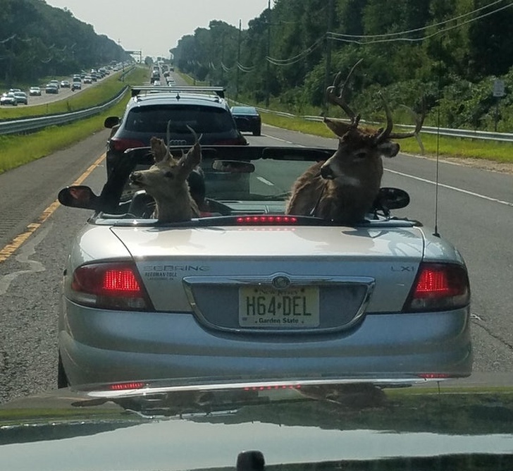 Illustration de l'article : Ces 18 personnes croisées dans la rue et difficiles à ne pas remarquer
