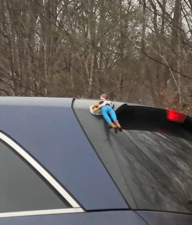 Illustration de l'article : Ces 19 photos qui illustrent les traits d'humour du quotidien