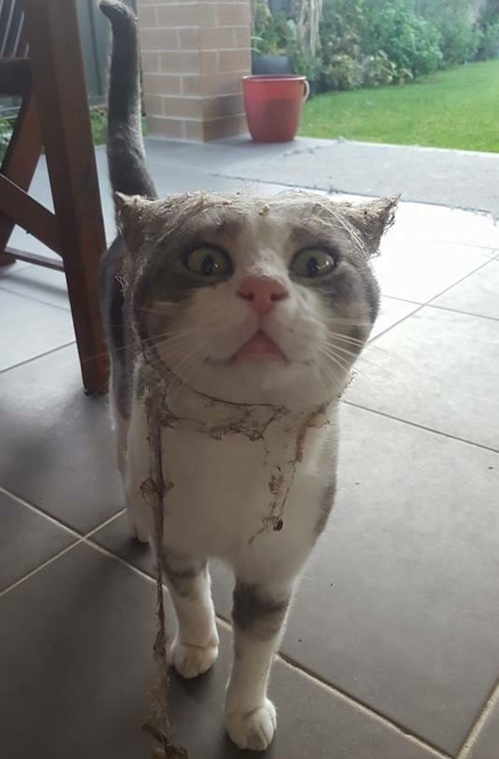 Illustration de l'article : Ces 21 photos qui réclament un peu d'empathie