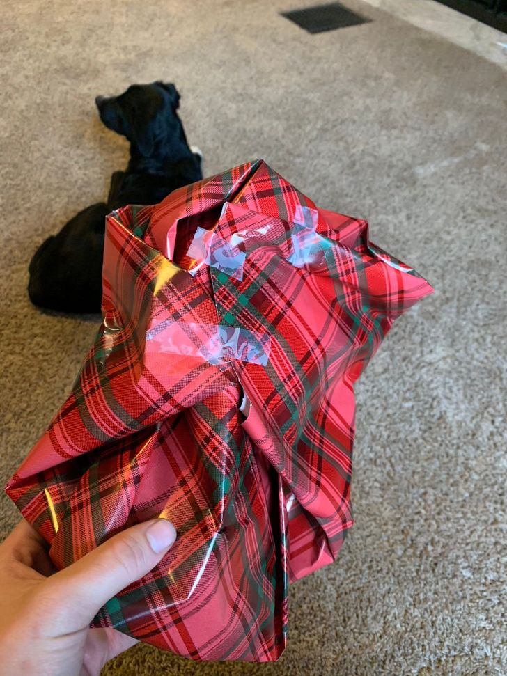 Illustration de l'article : Ces 16 personnes qui ne savent pas faire grand-chose de leurs mains