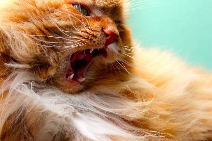 Illustration de l'article : Ces 18 photos de situations où la chance était au rendez-vous