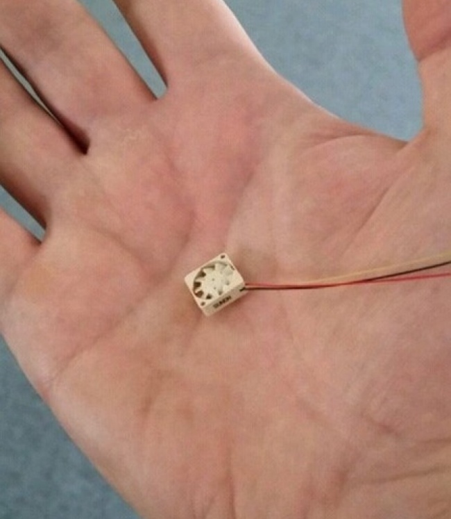 Illustration de l'article : 25 fois où la vie a illustré de vrais jeux de mots