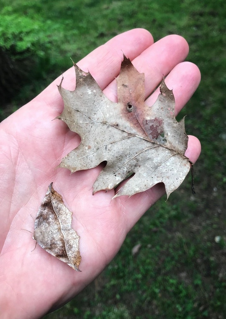 Illustration de l'article : Ces 23 curiosités qui montrent qu'il faut être attentif autour de soi