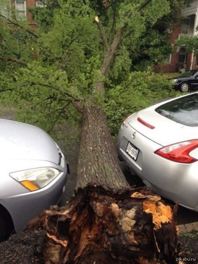 Illustration de l'article : 25 personnes à qui la chance a décidé de sourire