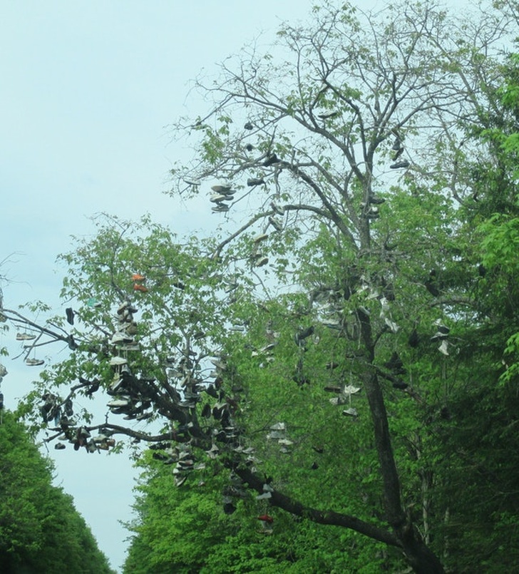 Illustration de l'article : Ces 21 photos qui montrent que l'Homme et la nature sont parfois incompris