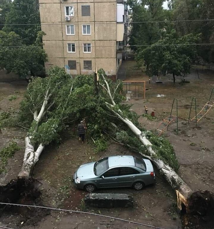 Illustration de l'article : Ces 18 photos de situations où la chance était au rendez-vous