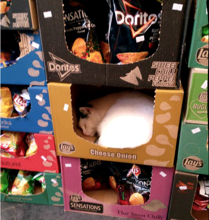 Illustration de l'article : Ces 20 situations que l'on ne peut observer que dans les magasins américains