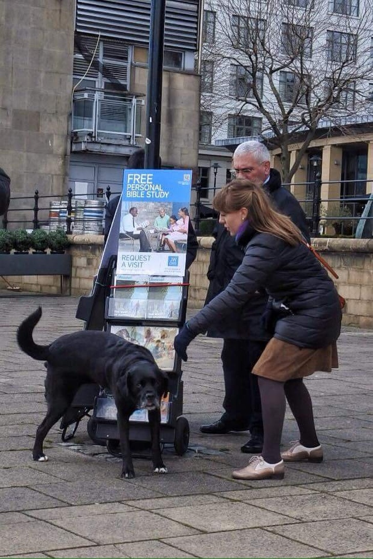 Illustration de l'article : Ces 25 moments gênants qui ressortiront au prochain repas de famille 