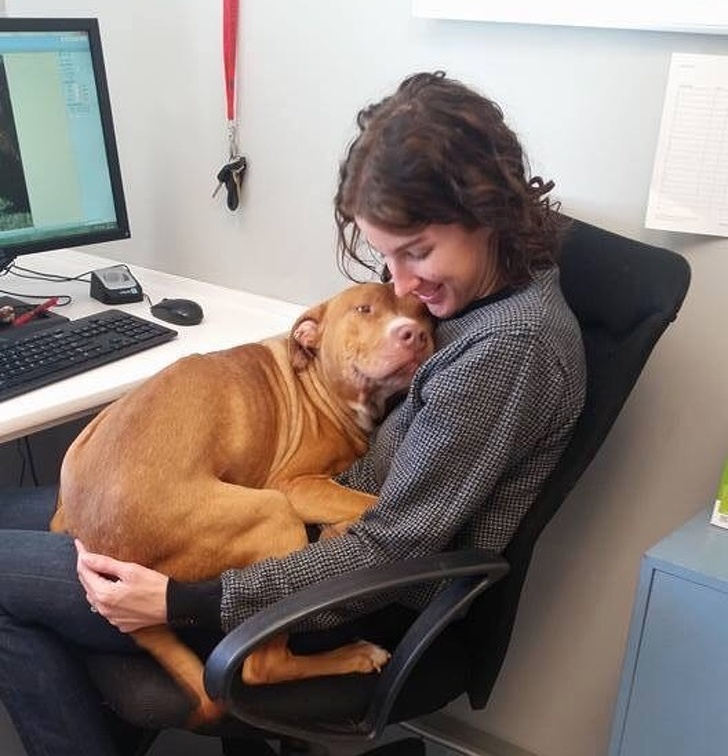 Illustration de l'article : Ces 14 collègues qui ont une façon bien à eux de travailler