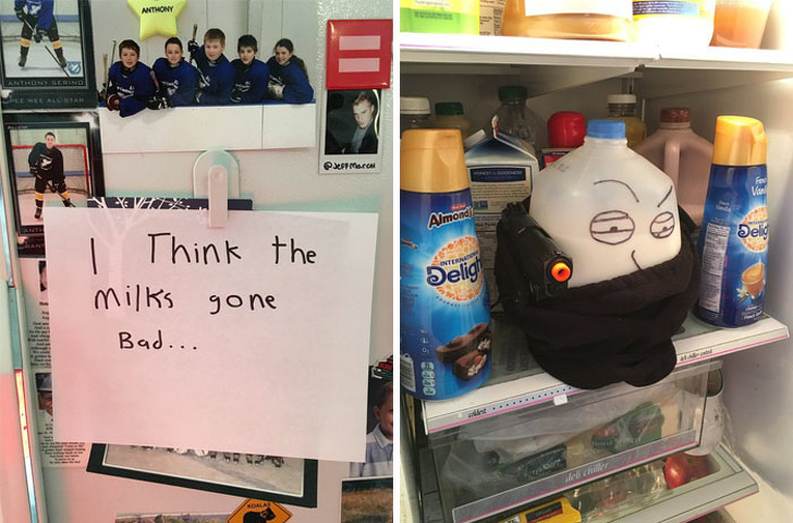 Illustration de l'article : Ces 20 photos montrant des relations compliquées entre frère et soeur