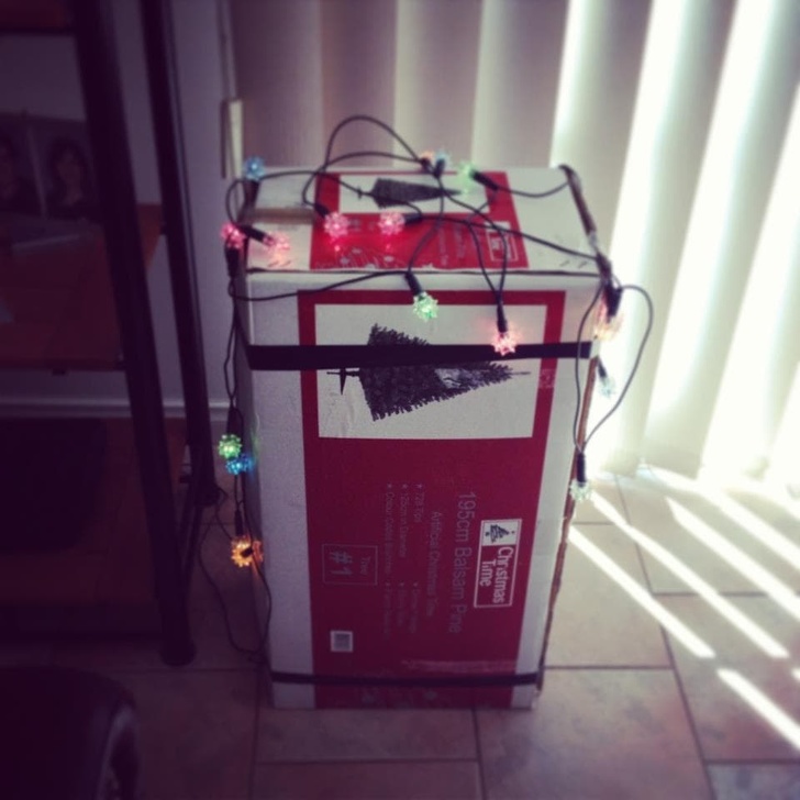 Illustration de l'article : Ces 18 personnes sont les rois des paresseux et méritent une médaille pour leurs idées