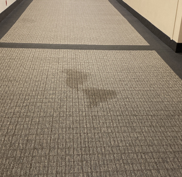 Illustration de l'article : Ces 20 photos qui suscitent bien des interrogations