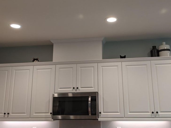 Illustration de l'article : Ces 20 photos de chats qui ont une drôle d'idée du confort