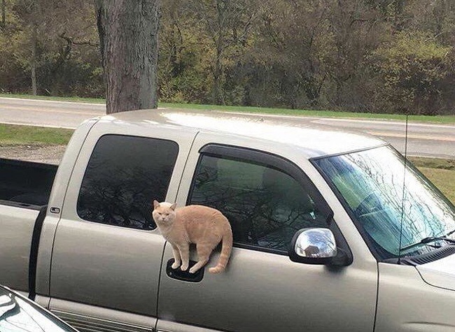 Illustration de l'article : Ces 21 choses que l’on ne voit pas souvent