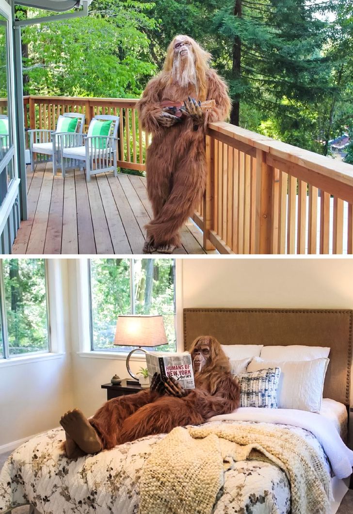 Illustration de l'article : Ces 18 personnes qui ont fait de drôles de découvertes dans leur maison